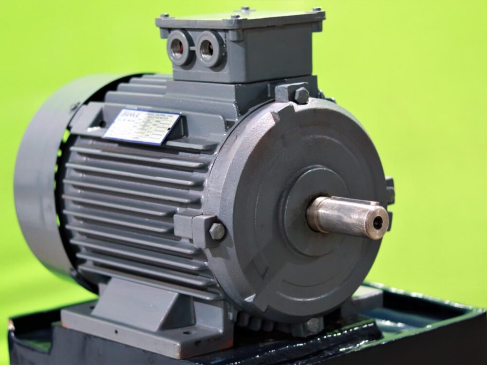 Electric Motor 2/3/5 HP Standard ISI - Image 5