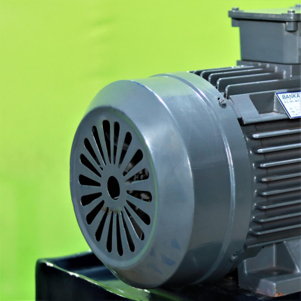 Electric Motor 2/3/5 HP Standard ISI - Image 4