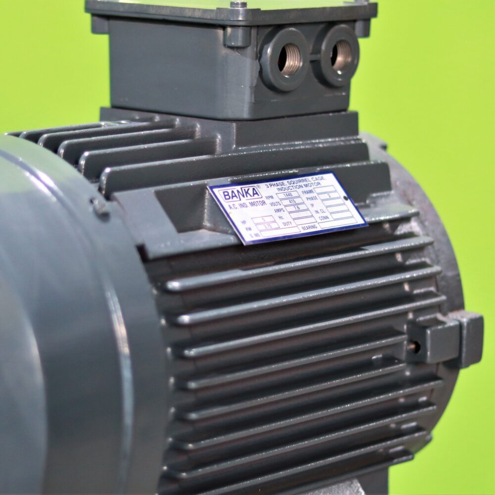 Electric Motor 2/3/5 HP Standard ISI - Image 3